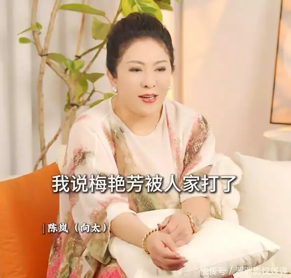 香港黑社会  娱乐圈_梅艳芳向太黑社会事件_向太梅艳芳恩怨