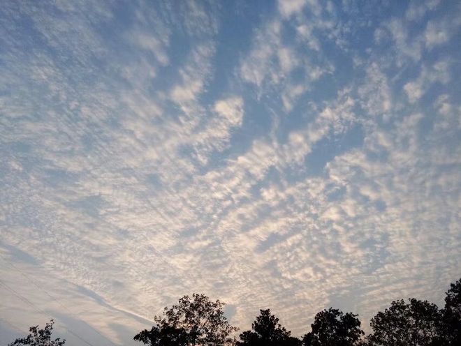 爱上女上司，我不敢向她表白，有一次我和她一起出差她向我表白了